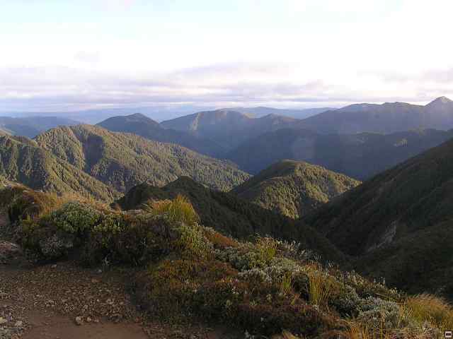 Ruahine - Sunrise Hut 051.jpg